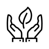 Whole, Honest Ingredients